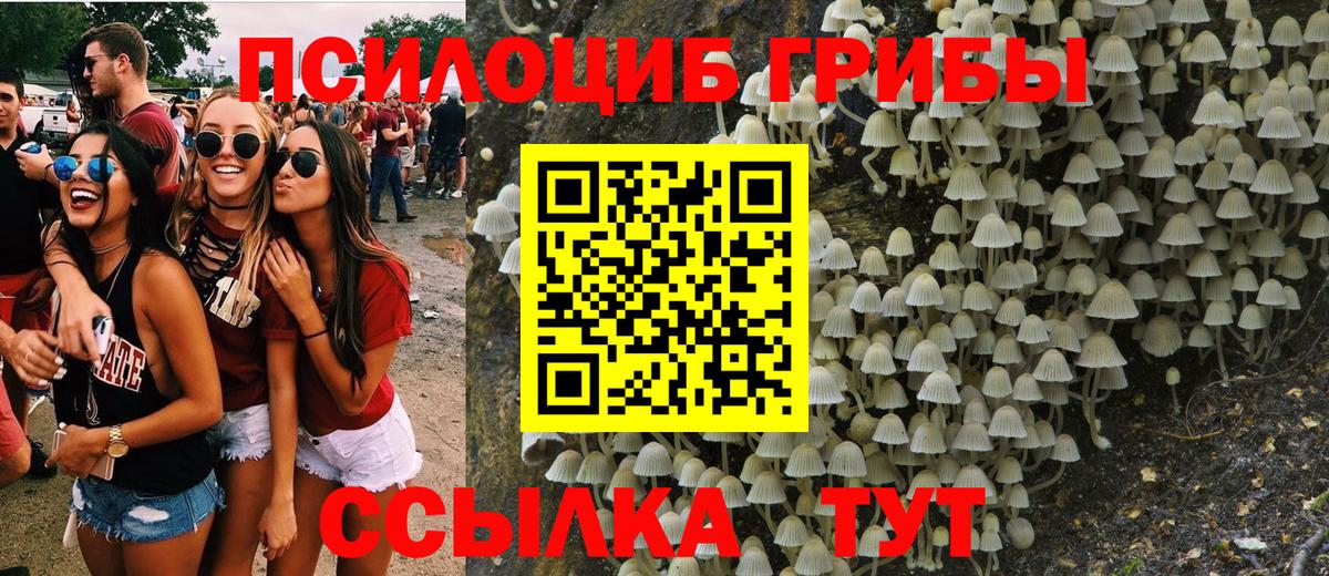 Урус-Мартан  Галлюциногенные грибы прущие грибы  Вход с VPN 